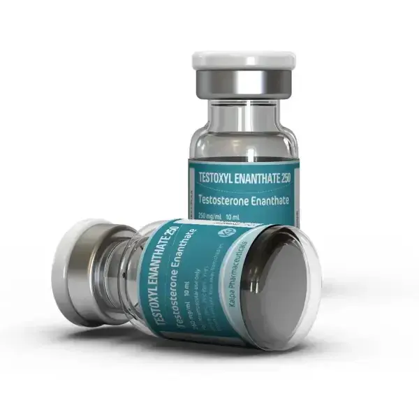 Buy Testoxyl Enanthate Kalpa Pharmaceuticals