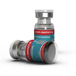 Testoxyl Enanthate 400 Kalpa Pharmaceuticals